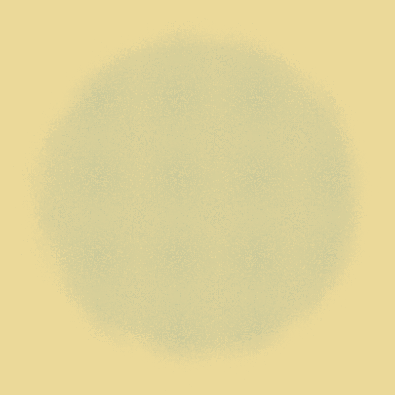 Physarym simulation